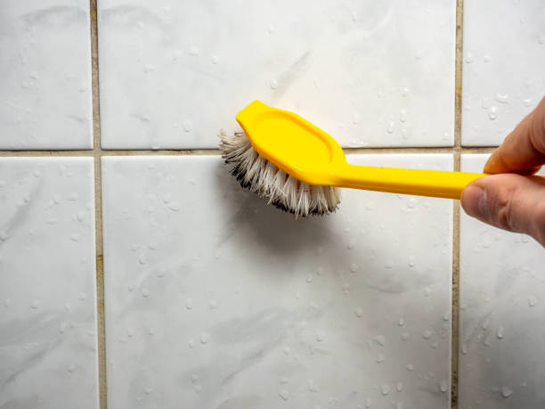 Office Mold Removal Services in Luling, LA