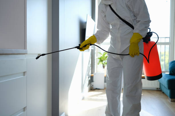 Best Toxic Mold Removal  in Luling, LA